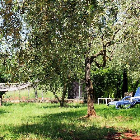 Вилла Oliven Garden Ровинь Экстерьер фото