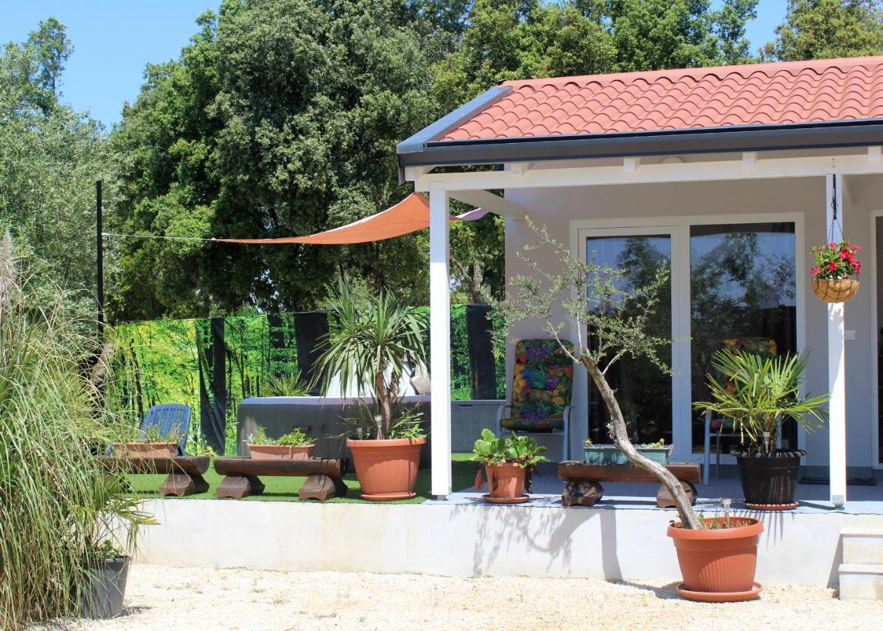 Вилла Oliven Garden Ровинь Экстерьер фото