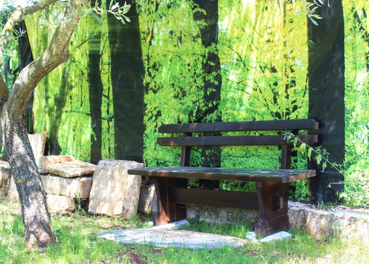 Вилла Oliven Garden Ровинь Экстерьер фото
