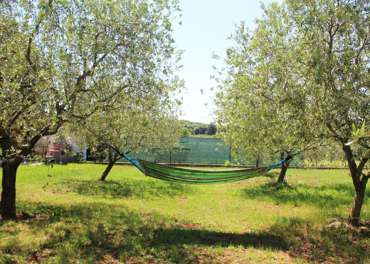 Вилла Oliven Garden Ровинь Экстерьер фото