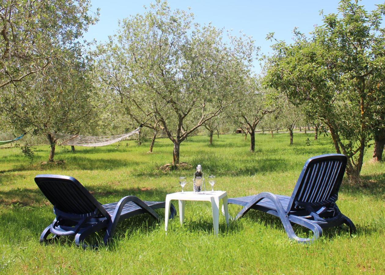 Вилла Oliven Garden Ровинь Экстерьер фото