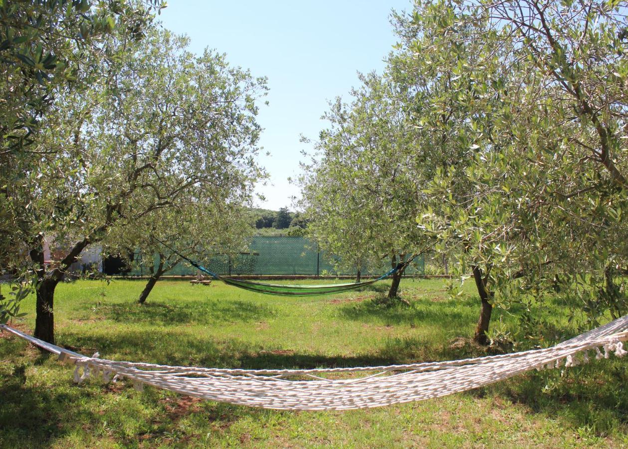 Вилла Oliven Garden Ровинь Экстерьер фото