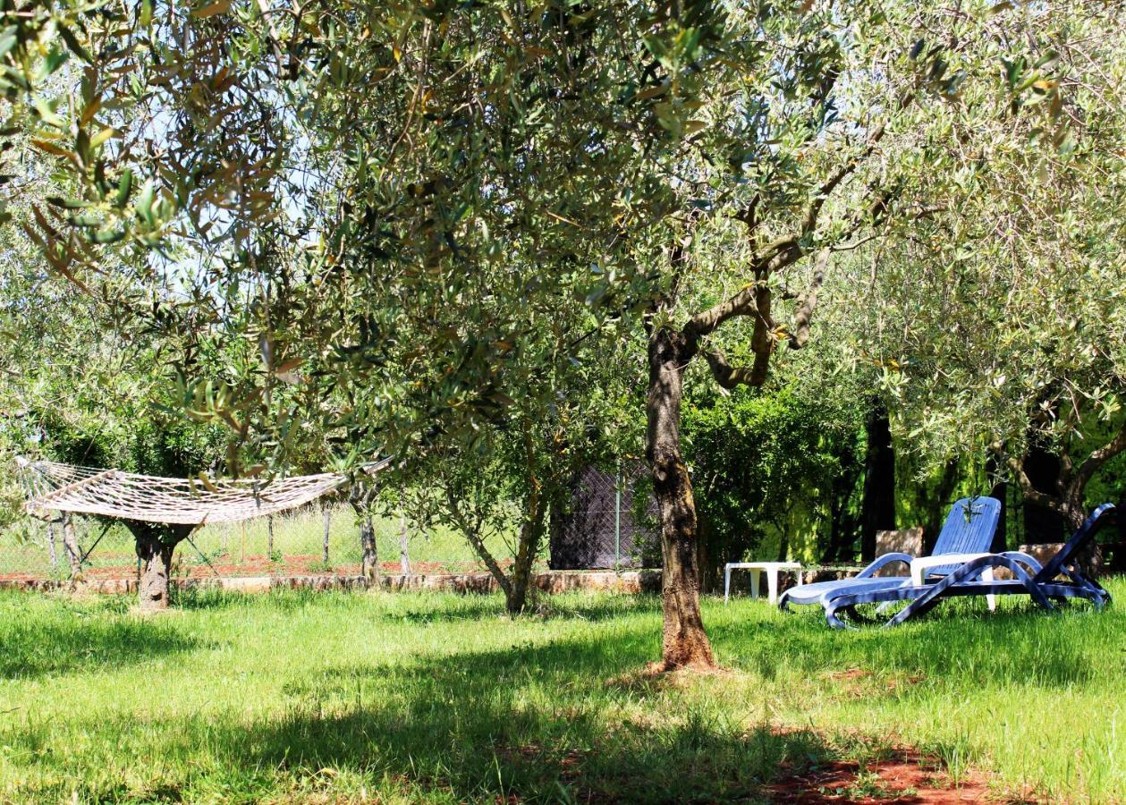 Вилла Oliven Garden Ровинь Экстерьер фото